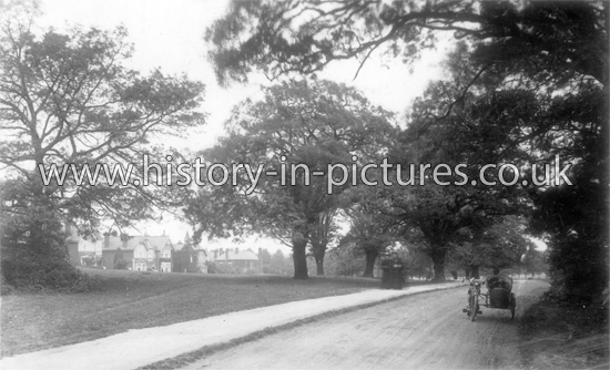 Forest Side, Chingford, London. c.1918.